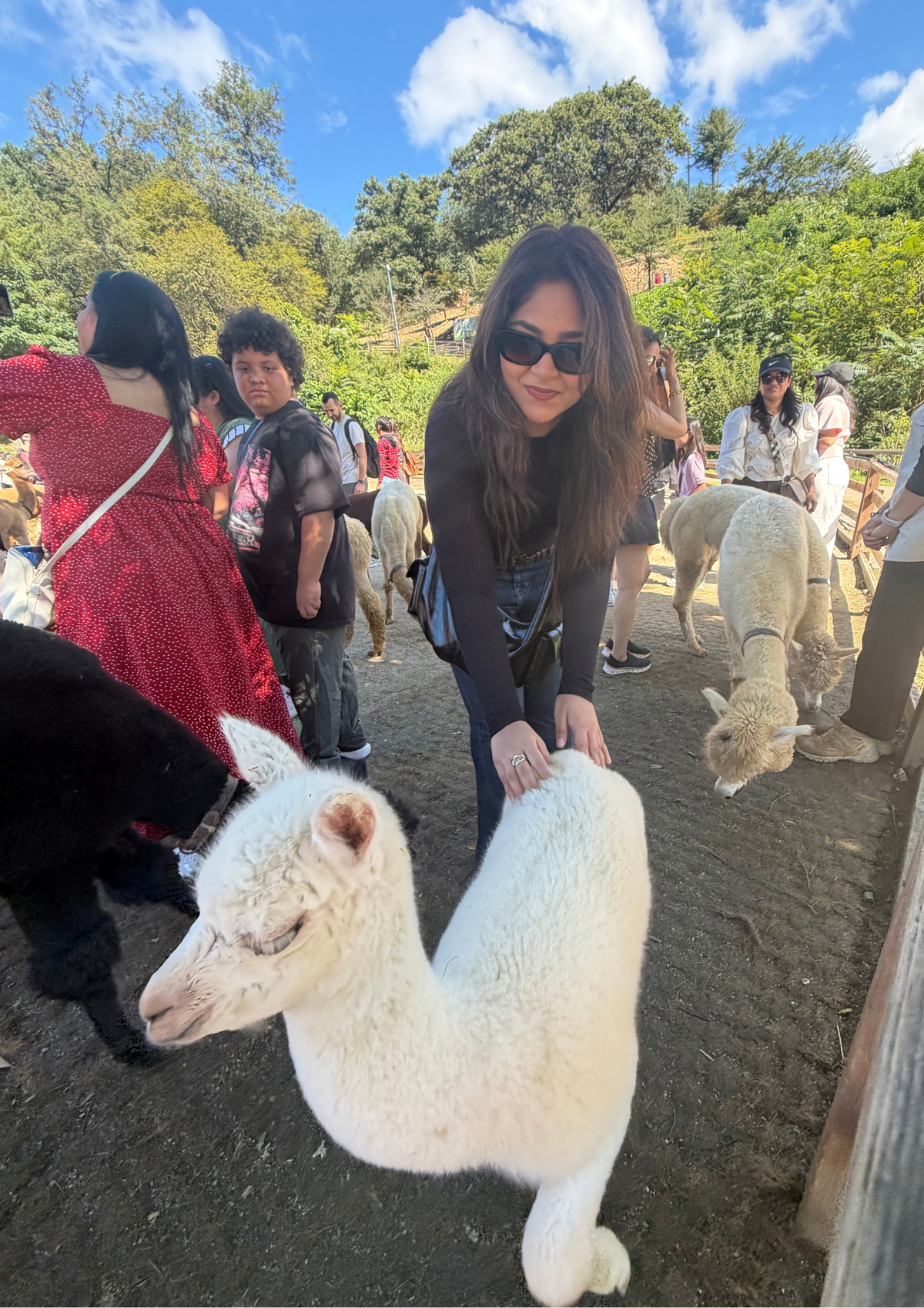 South Korea Girls Group Trip | Women-Only Korea Tour